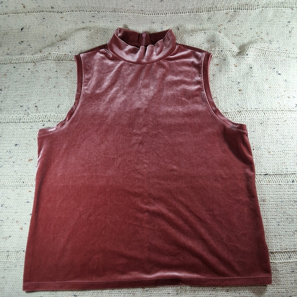 Velvet Sleeveless Top in Burgundy